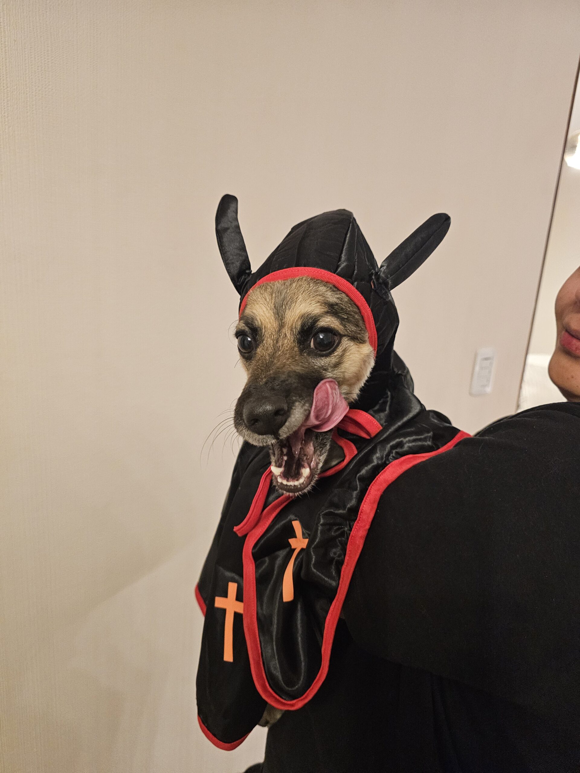Mascota 1