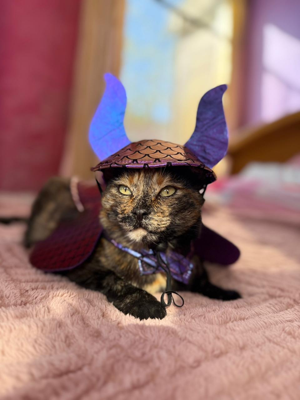 Mascota 11
