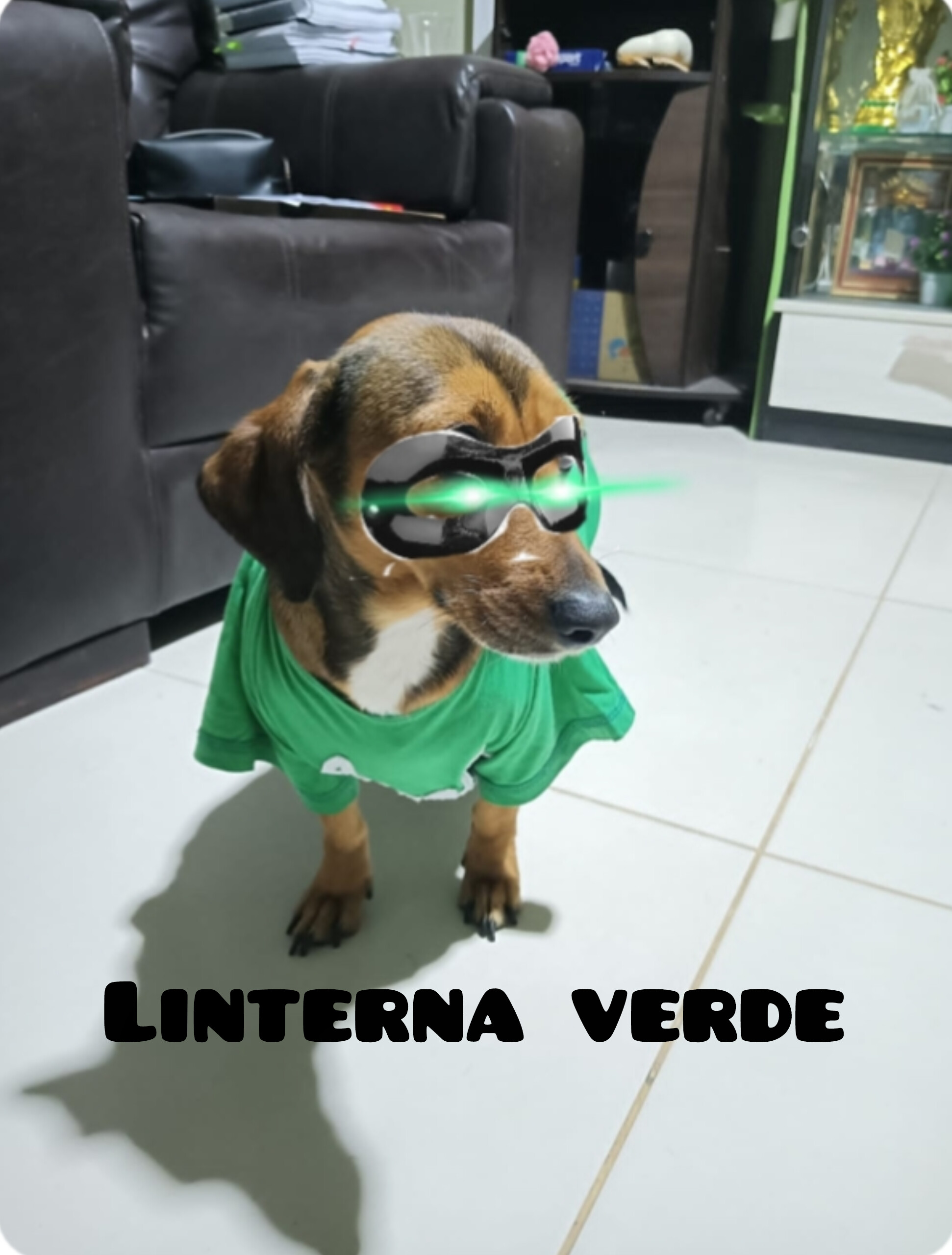Mascota 13