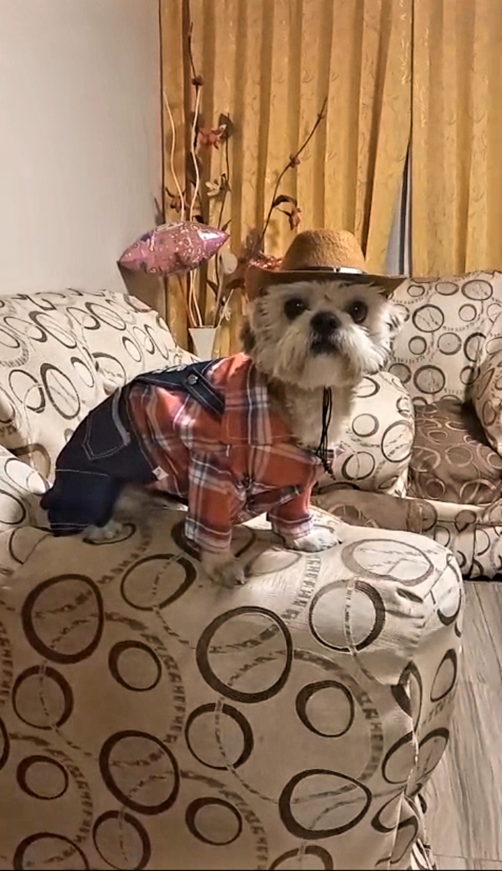 Mascota 16
