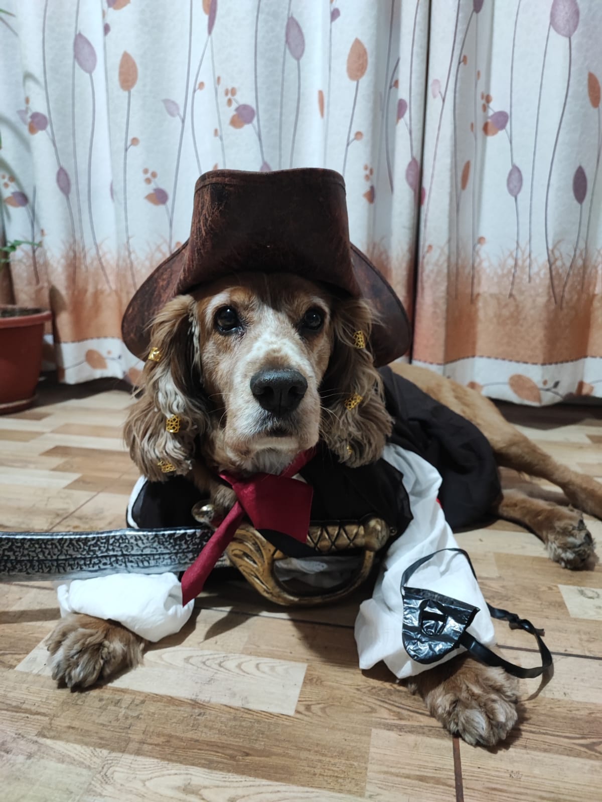Mascota 18