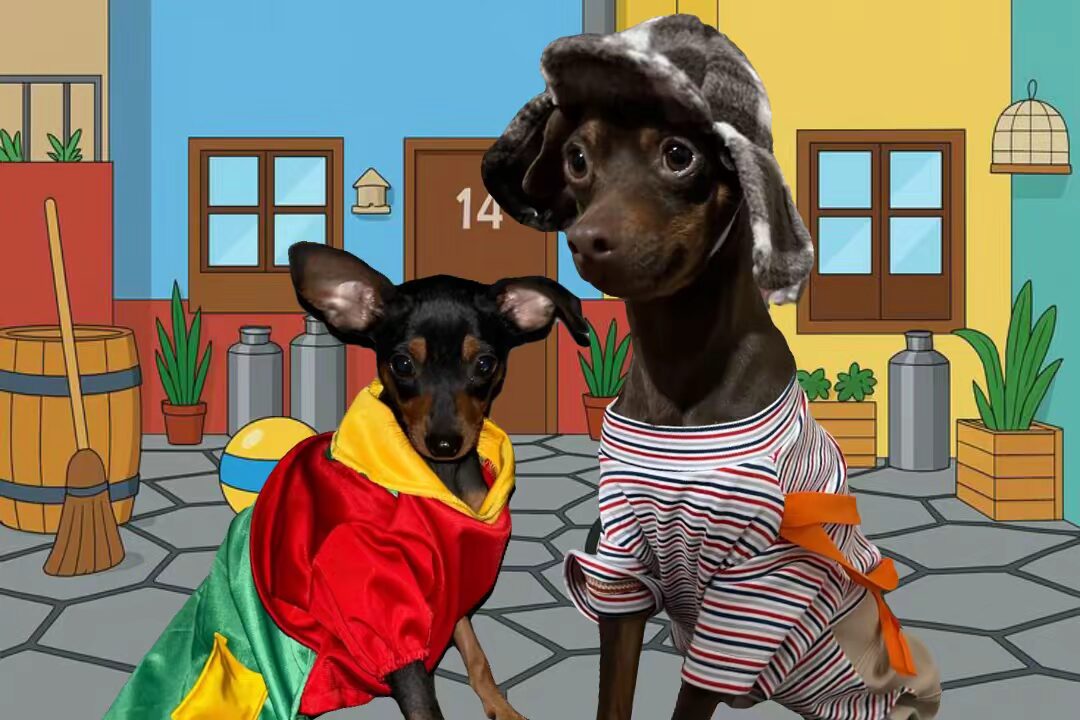 Mascota 17